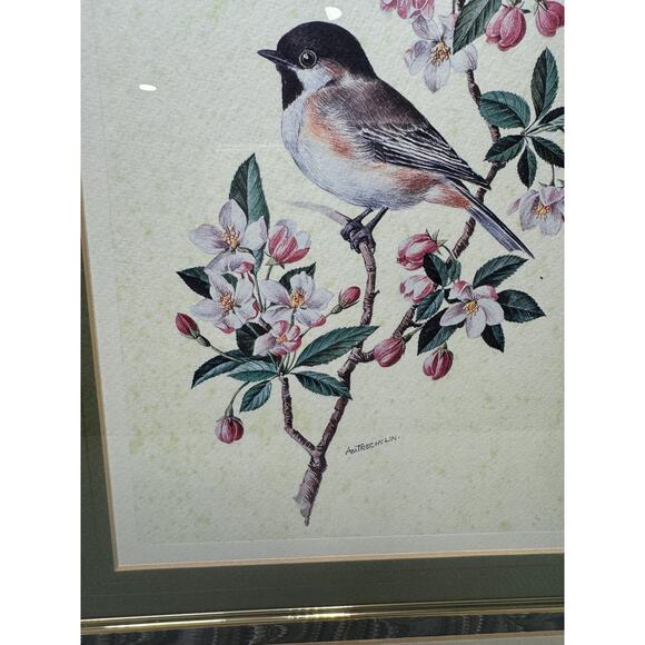 Beautiful Vintage Gold Framed Chickadee Lithograph Signed , Vintage Bird Print - Picture 3 of 9